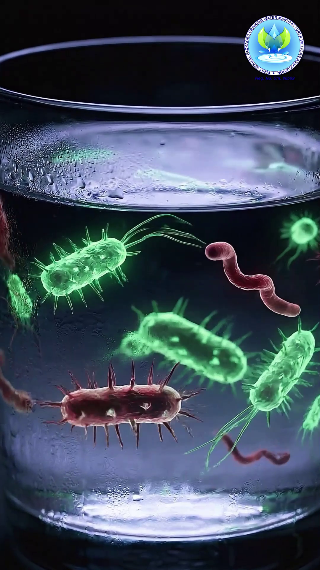 coli